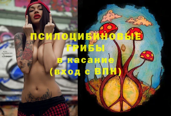 прущая мука Абаза