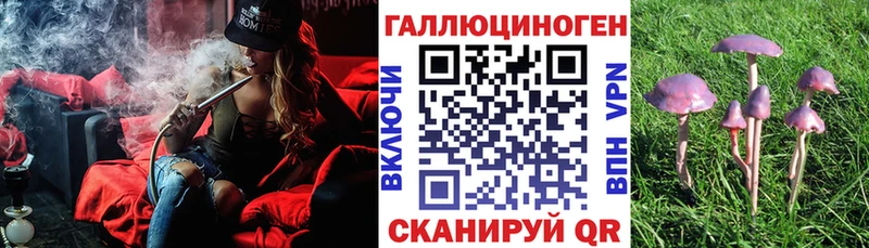 KRAKEN зеркало  сколько стоит  Власиха  Галлюциногенные грибы мицелий 